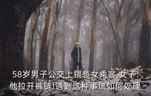 58歲男子公交上猥褻女乘客,女子:他拉開褲鏈!遇到這種事該如何處理