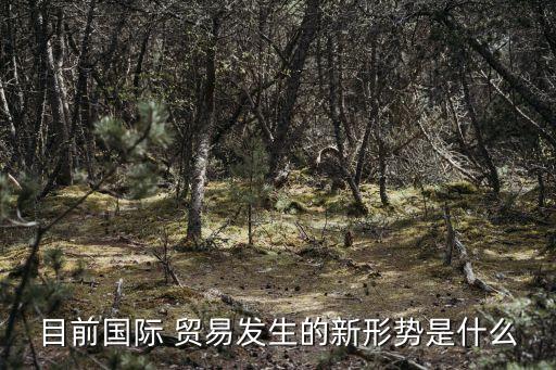 多邊貿(mào)易