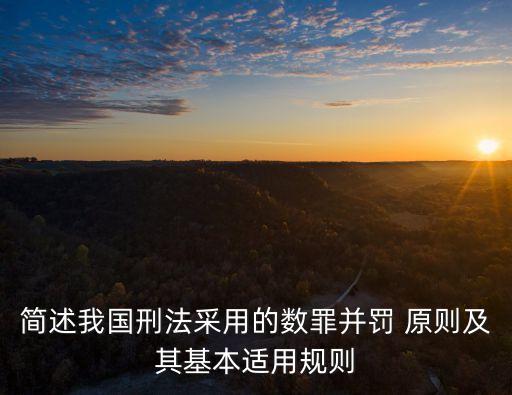簡(jiǎn)述我國(guó)刑法采用的數(shù)罪并罰 原則及其基本適用規(guī)則