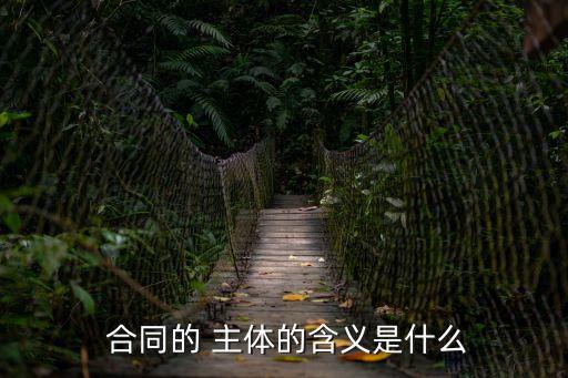  合同的 主體的含義是什么