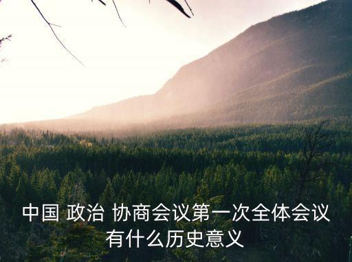 政治協(xié)商