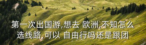 第一次出國游,想去 歐洲,不知怎么選線路,可以 自由行嗎還是跟團(tuán)