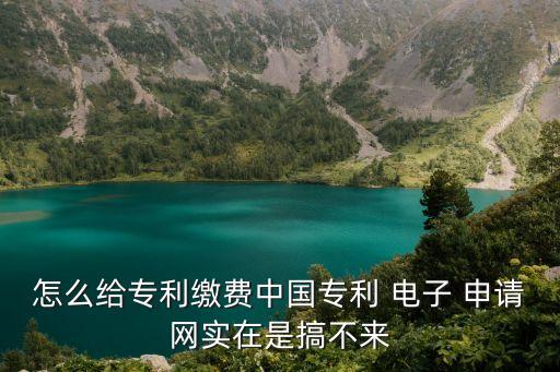 怎么給專利繳費(fèi)中國專利 電子 申請(qǐng)網(wǎng)實(shí)在是搞不來
