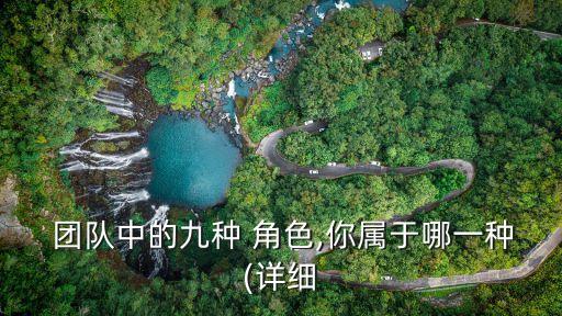 團(tuán)隊(duì)角色