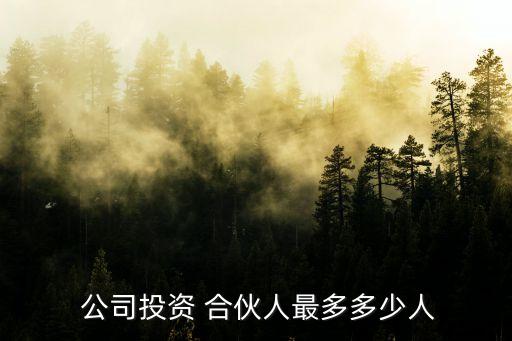 公司合伙人