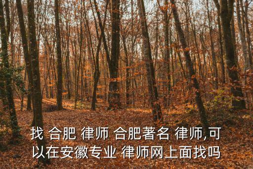 找 合肥 律師 合肥著名 律師,可以在安徽專業(yè) 律師網(wǎng)上面找嗎