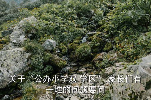 關(guān)于“公辦小學(xué)雙 學(xué)區(qū)”,家長們有一堆的問題要問