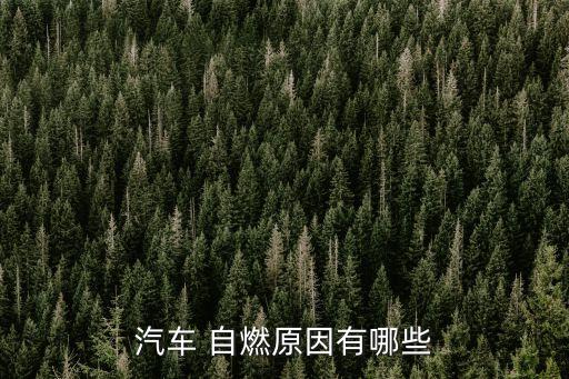 汽車 自燃原因有哪些