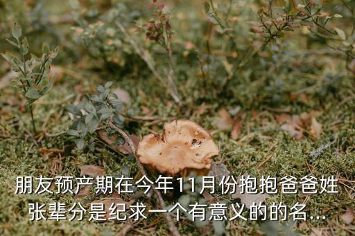紀(jì)斌