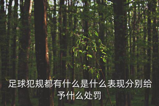  足球犯規(guī)都有什么是什么表現(xiàn)分別給予什么處罰