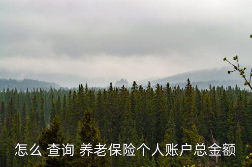 怎么 查詢 養(yǎng)老保險(xiǎn)個(gè)人賬戶總金額