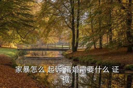 家暴起訴離婚需要什么證據(jù),離婚律師咨詢免費(fèi)24小時在線附近