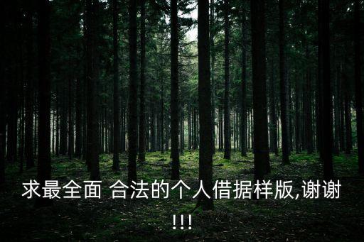 求最全面 合法的個(gè)人借據(jù)樣版,謝謝!!!