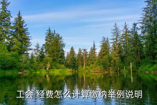 工會(huì)經(jīng)費(fèi)