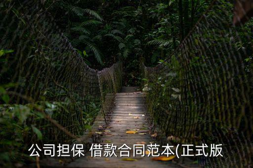 公司擔(dān)保 借款合同范本(正式版