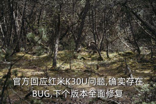 官方回應(yīng)紅米K30U問題,確實存在BUG,下個版本全面修復(fù)