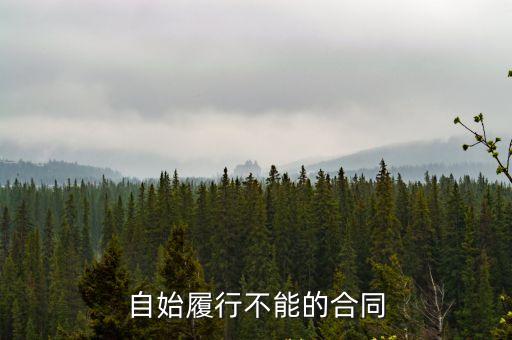 自始履行不能的合同