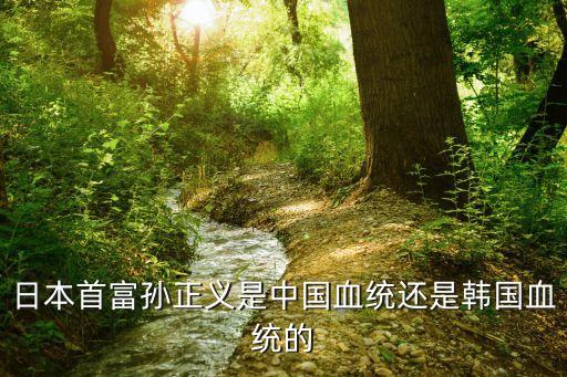 日本首富孫正義是中國血統(tǒng)還是韓國血統(tǒng)的