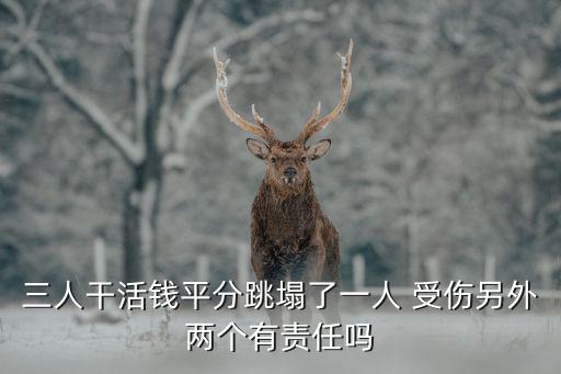 三人干活錢平分跳塌了一人 受傷另外兩個(gè)有責(zé)任嗎
