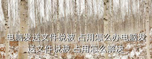 占用