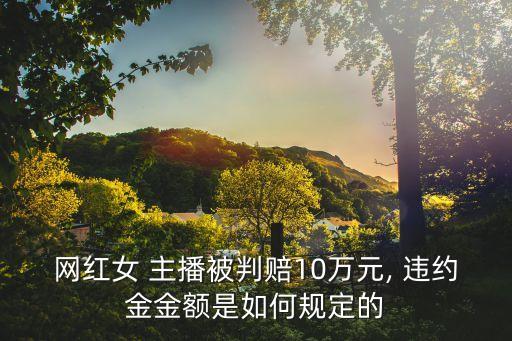 主播違約賠償案例,房屋買賣合同違約賠償案例