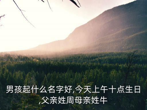 男孩起什么名字好,今天上午十點生日,父親姓周母親姓牛