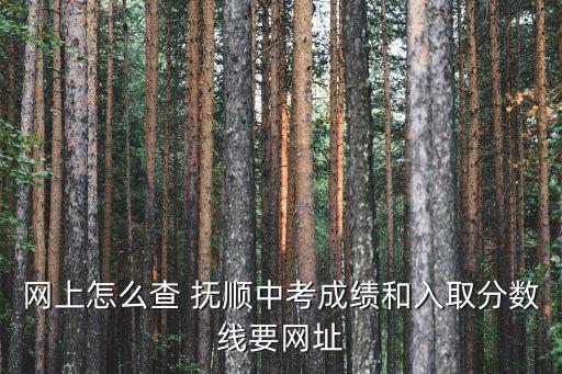 網(wǎng)上怎么查 撫順中考成績(jī)和入取分?jǐn)?shù)線要網(wǎng)址