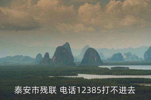 泰安市殘聯(lián) 電話12385打不進(jìn)去