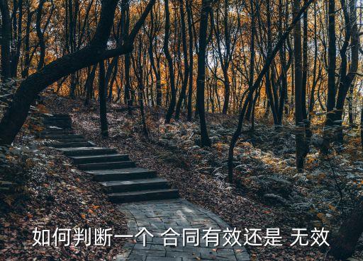 如何判斷一個 合同有效還是 無效