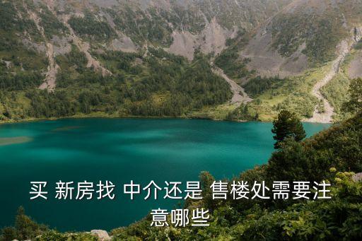 買新房找中介還是售樓處比較好,新盤找中介和直接去樓盤區(qū)別