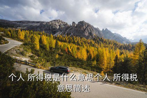 個人 所得稅是什么意思個人 所得稅意思簡述