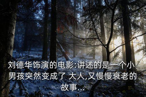 劉德華飾演的電影:講述的是一個小 男孩突然變成了 大人,又慢慢衰老的故事...