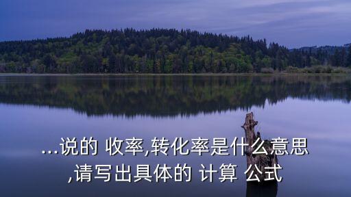 ...說的 收率,轉(zhuǎn)化率是什么意思,請(qǐng)寫出具體的 計(jì)算 公式