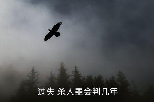  過失 殺人罪會判幾年