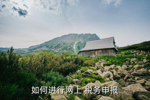 如何進(jìn)行網(wǎng)上 稅務(wù)申報(bào)
