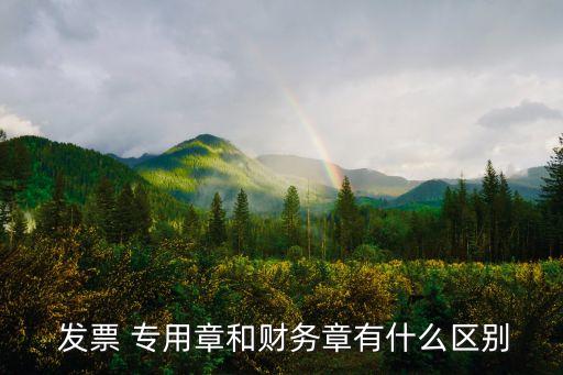 發(fā)票專用章