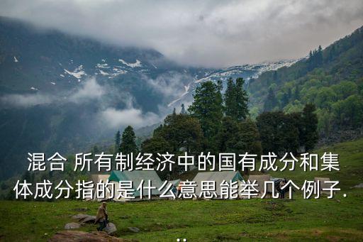  混合 所有制經(jīng)濟(jì)中的國有成分和集體成分指的是什么意思能舉幾個(gè)例子...