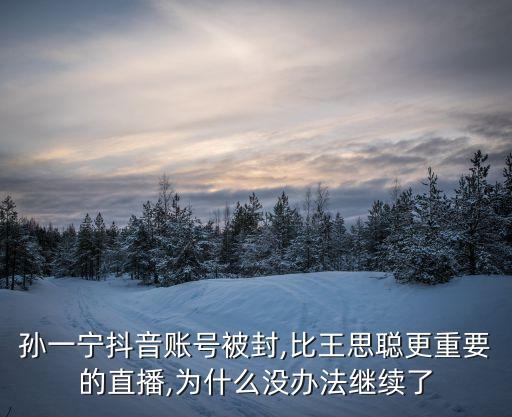 孫一寧抖音賬號被封,比王思聰更重要的直播,為什么沒辦法繼續(xù)了