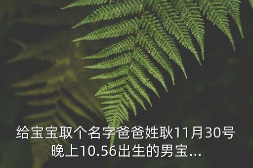 耿波