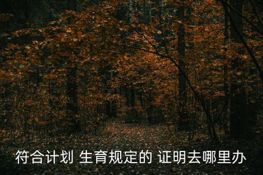符合計劃 生育規(guī)定的 證明去哪里辦
