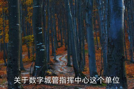 數(shù)字化城市管理