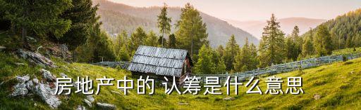 房地產(chǎn)中的 認(rèn)籌是什么意思