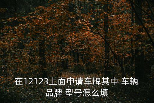 在12123上面申請車牌其中 車輛品牌 型號怎么填