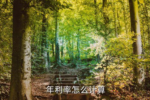  年利率怎么計算