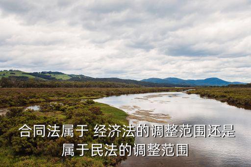  合同法屬于 經(jīng)濟(jì)法的調(diào)整范圍還是屬于民法的調(diào)整范圍