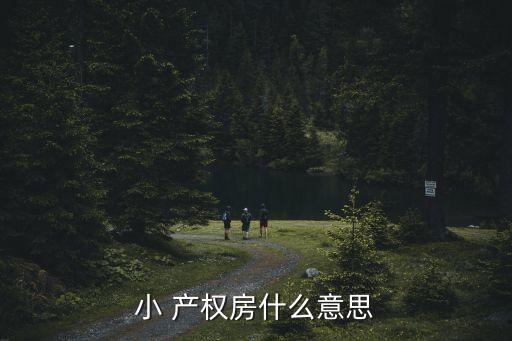 小產(chǎn)權(quán)房是什么意思,40年小產(chǎn)權(quán)房是什么意思