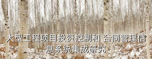 大型工程項(xiàng)目投資控制和 合同管理信息系統(tǒng)集成研究