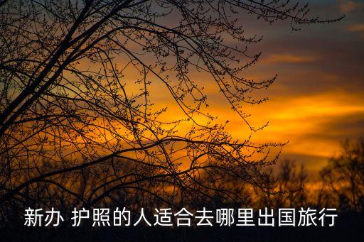 白本護(hù)照什么意思,簽證最好辦的國家