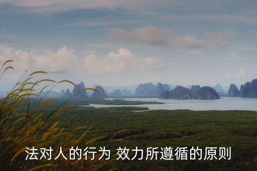 法律行為效力判斷標(biāo)準(zhǔn),效力待定的法律行為有哪些