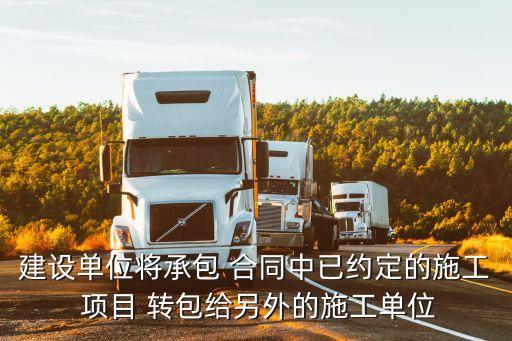 如果有項(xiàng)目經(jīng)理轉(zhuǎn)包合同怎么辦